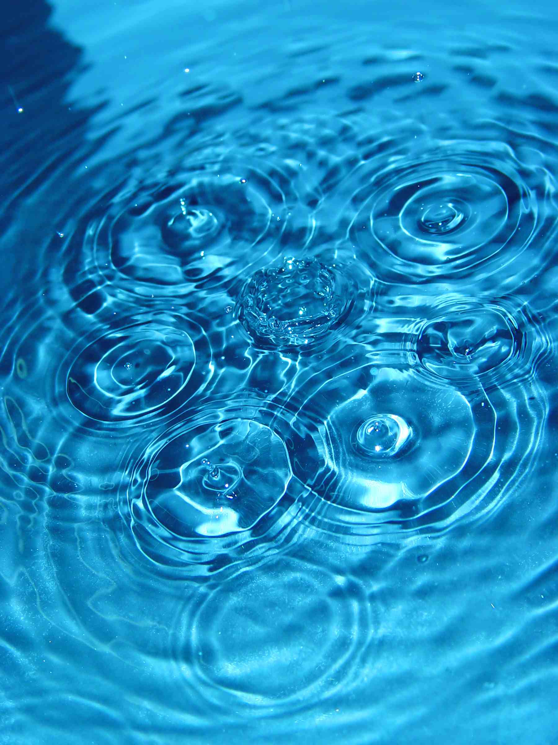 waterrings Wisconsin Innovation Awards