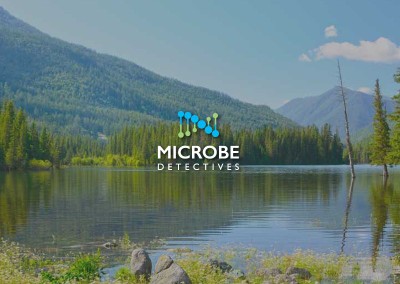 Microbe Detectives | Milwaukee