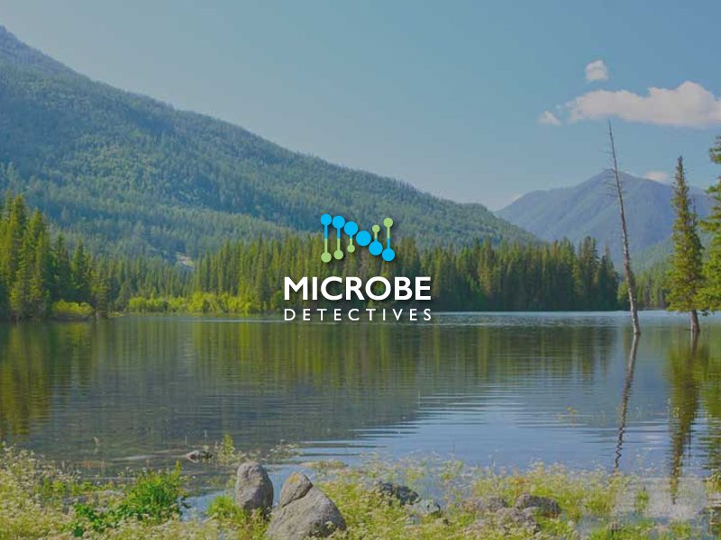 Microbe Detectives